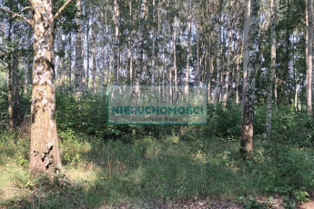 Działka Sprzedaż Jaktorów