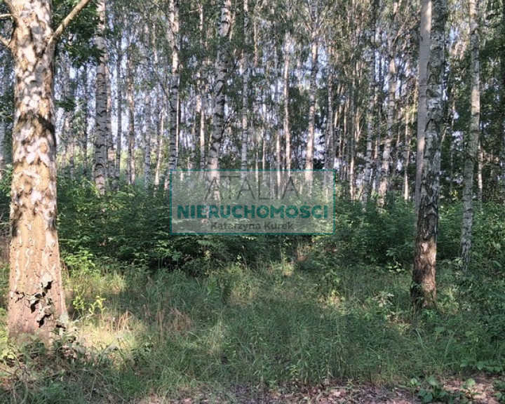 Działka Sprzedaż Jaktorów
