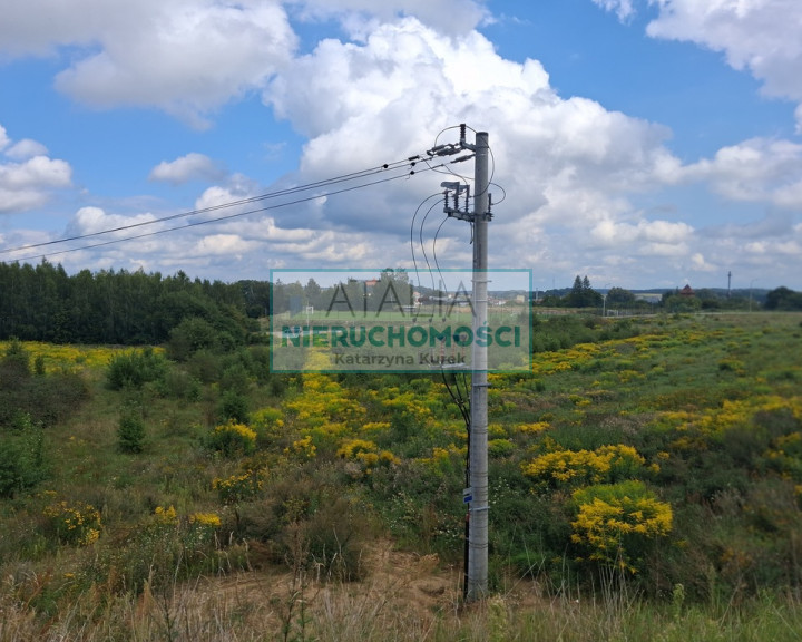 Działka Sprzedaż Nidzica