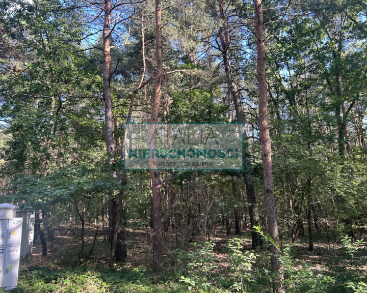 Działka Sprzedaż Sękocin-Las