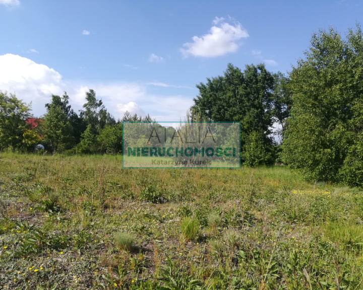 Działka Sprzedaż Jaktorów