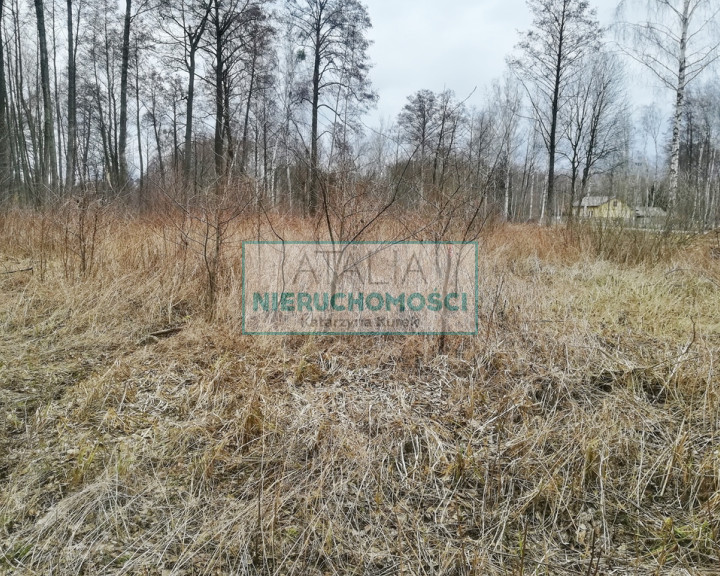 Działka Sprzedaż Czarny Las