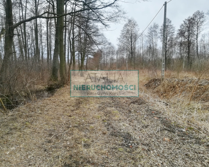 Działka Sprzedaż Czarny Las