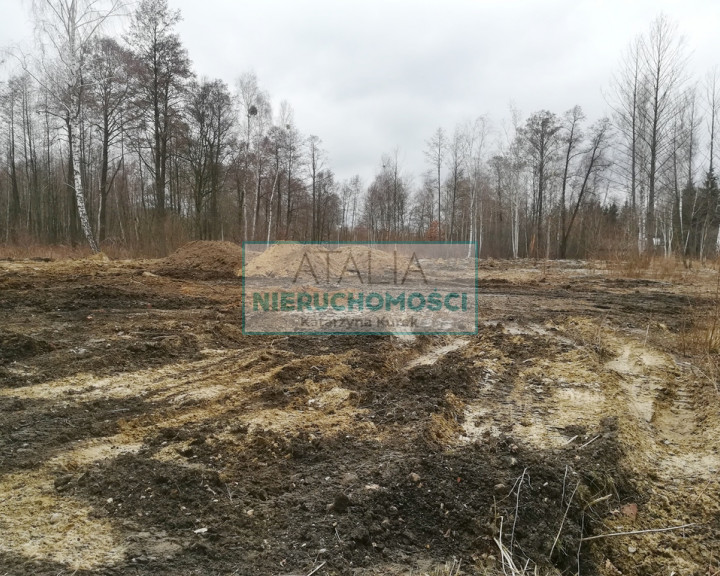 Działka Sprzedaż Czarny Las