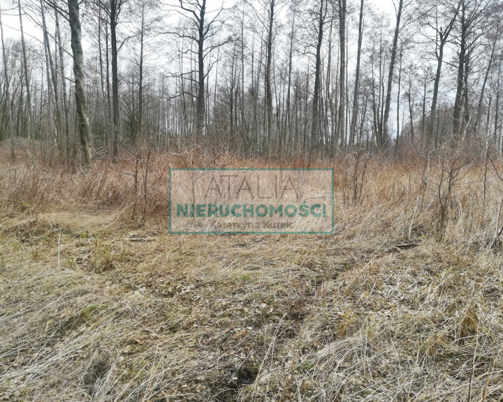 Działka Sprzedaż Czarny Las