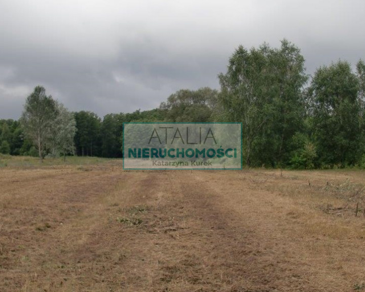 Działka Sprzedaż Nowe Budy
