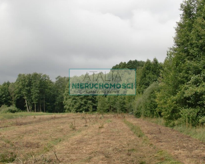 Działka Sprzedaż Nowe Budy