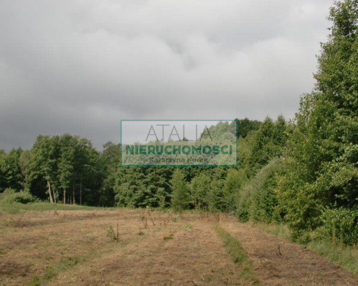 Działka Sprzedaż Nowe Budy