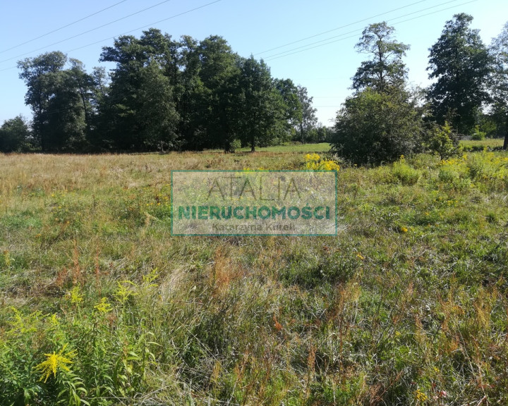 Działka Sprzedaż Grodzisk Mazowiecki