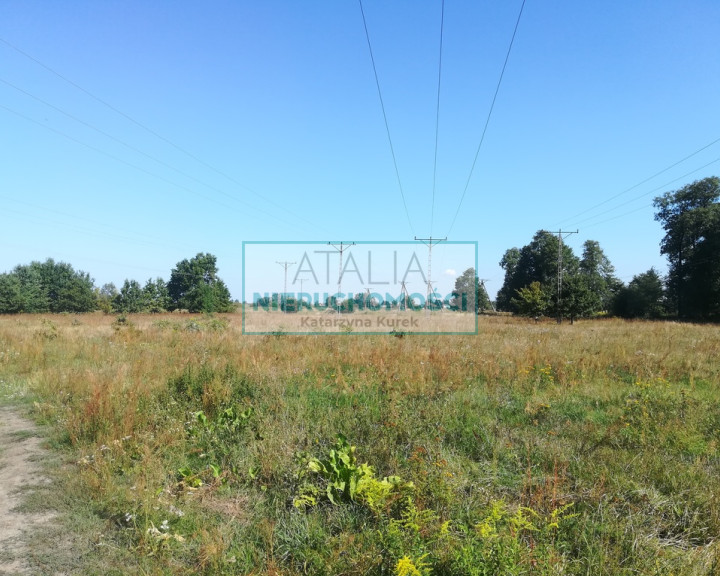 Działka Sprzedaż Grodzisk Mazowiecki