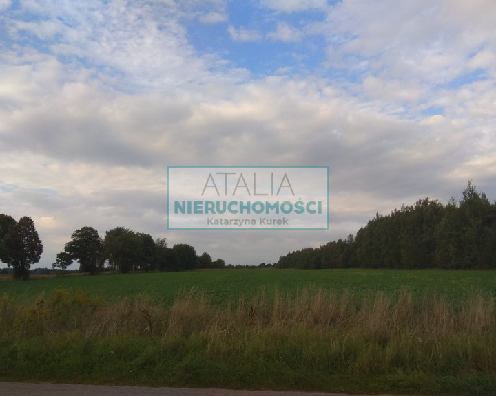 Działka Sprzedaż Zator