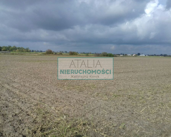 Działka Sprzedaż Domaniewek