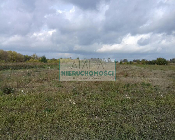 Działka Sprzedaż Domaniew