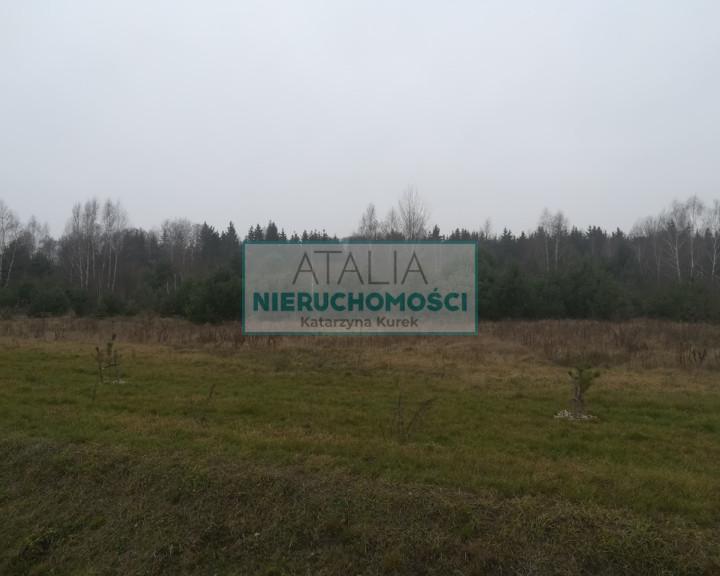 Działka Sprzedaż Osowiec