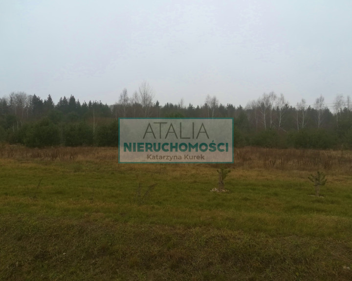 Działka Sprzedaż Osowiec