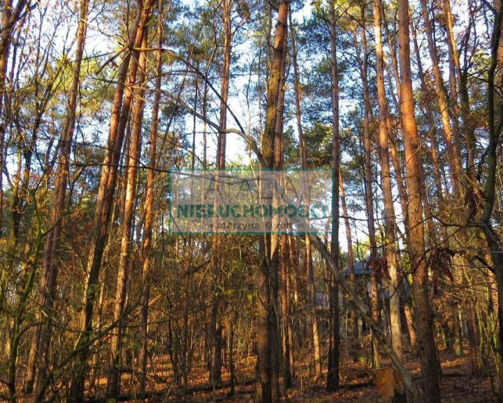 Działka Sprzedaż Sękocin-Las