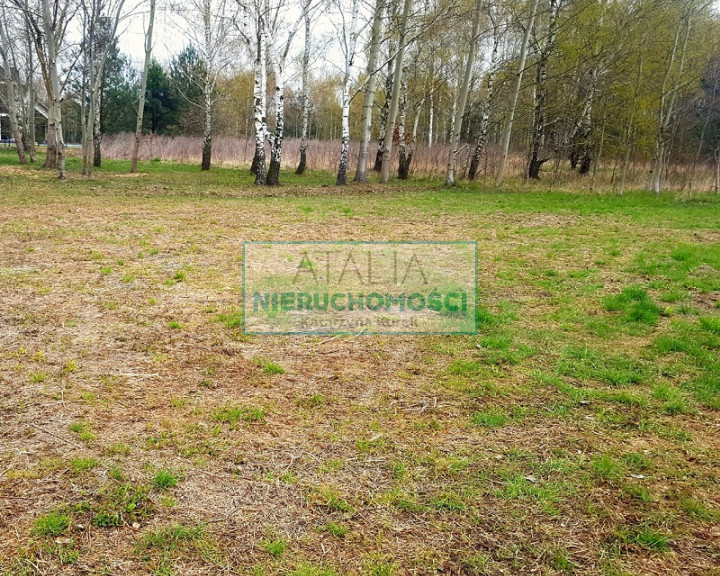 Działka Sprzedaż Książenice