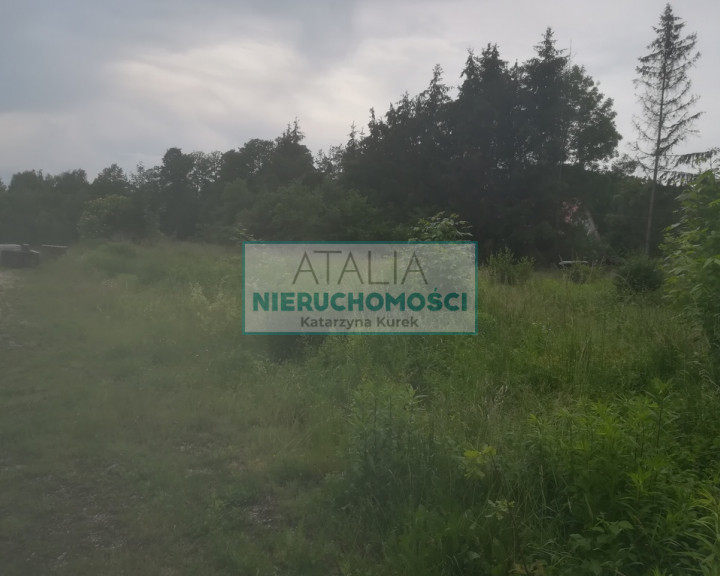 Działka Sprzedaż Kady