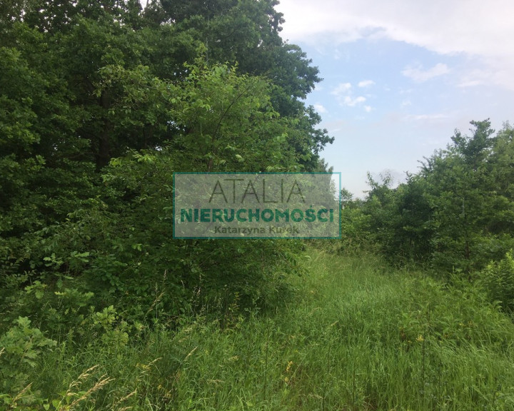 Działka Sprzedaż Milanówek