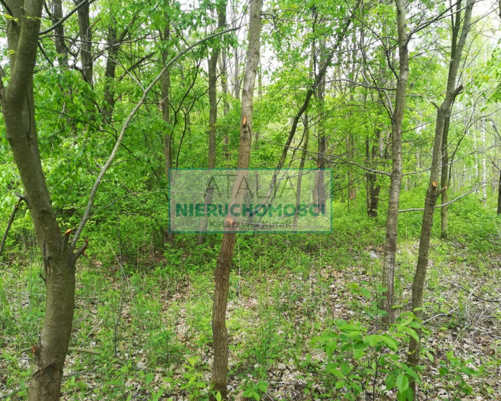 Działka Sprzedaż Milanówek
