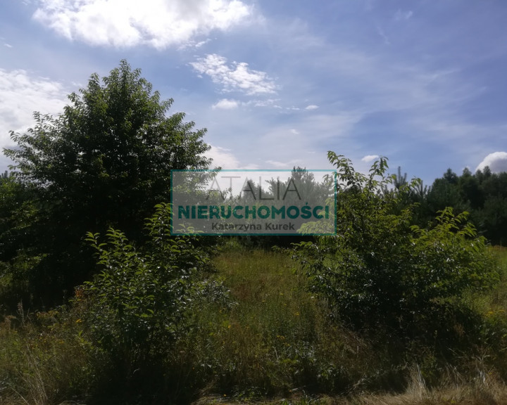 Działka Sprzedaż Żelechów