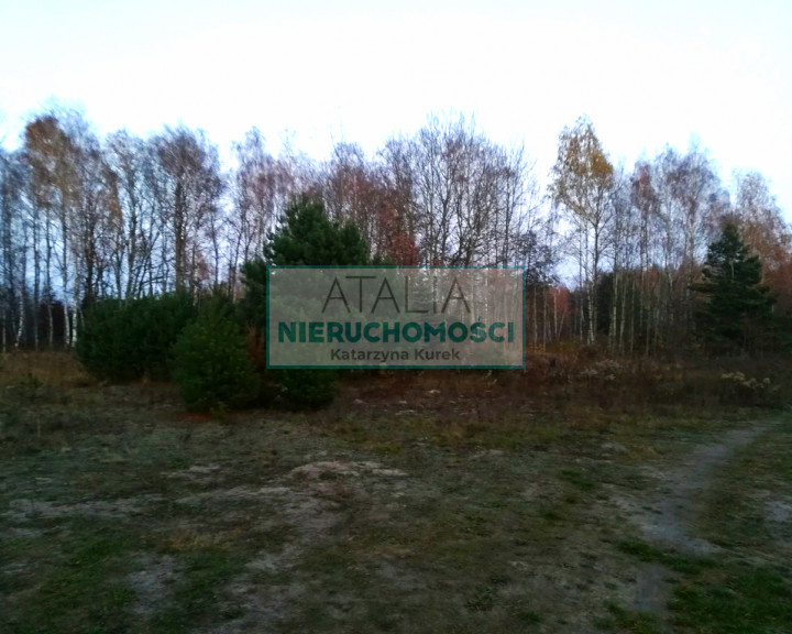 Działka Sprzedaż Szczęsne