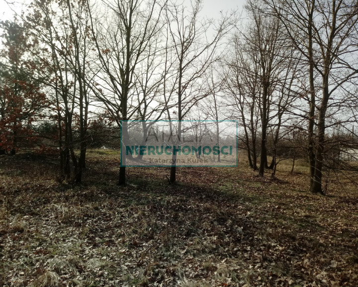 Działka Sprzedaż Żyrardów
