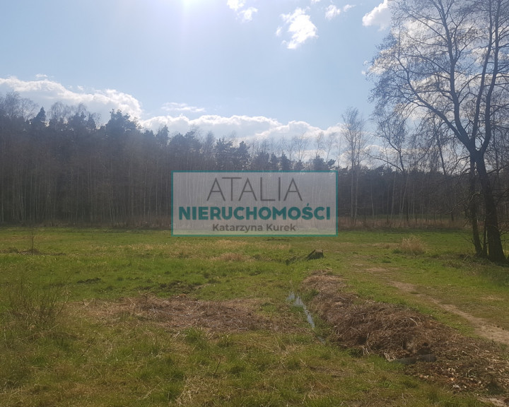 Działka Sprzedaż Książenice