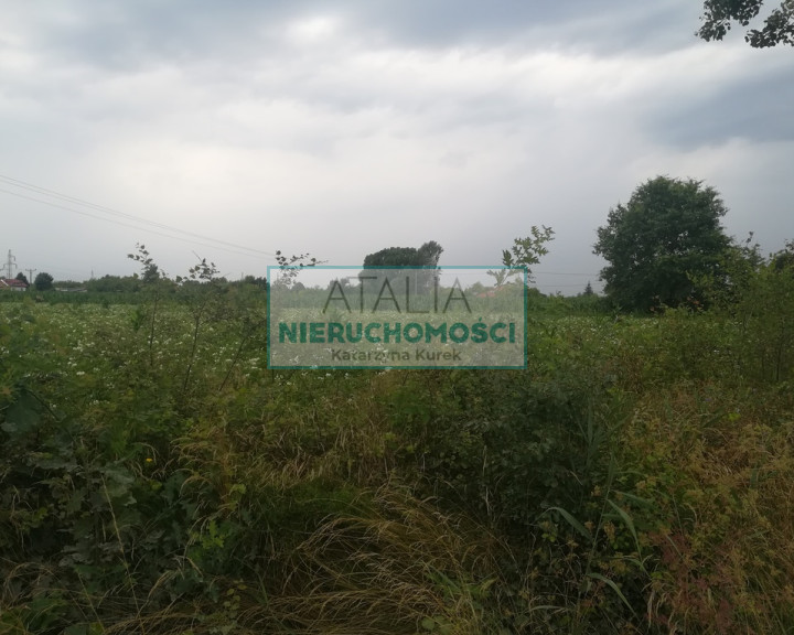 Działka Sprzedaż Chrzanów Duży