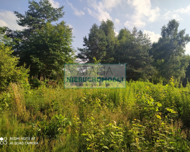 Działka Sprzedaż Zalesie