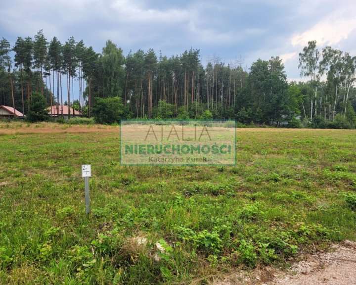 Działka Sprzedaż Wycinki Osowskie