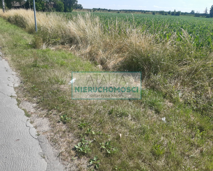Działka Sprzedaż Grodzisk Mazowiecki