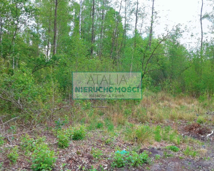 Działka Sprzedaż Budy Michałowskie