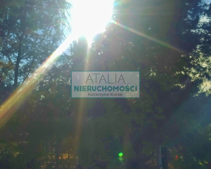 Działka Sprzedaż Budy Michałowskie