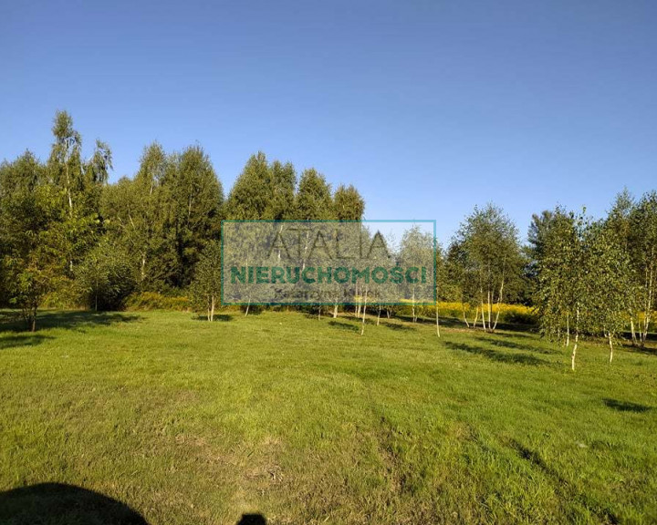 Działka Sprzedaż Żółwin