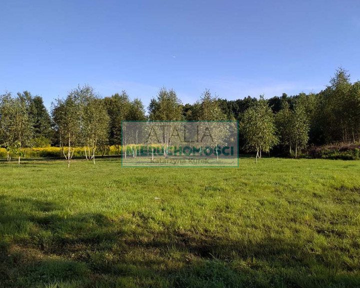 Działka Sprzedaż Żółwin