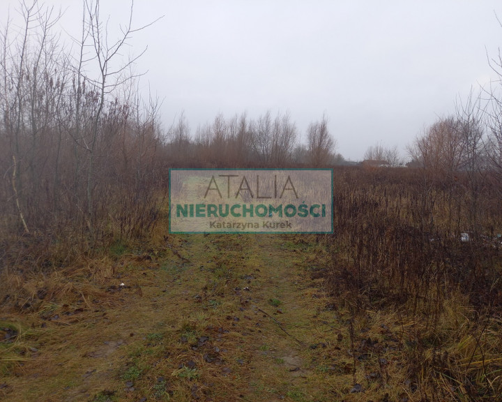 Działka Sprzedaż Kłudno Nowe