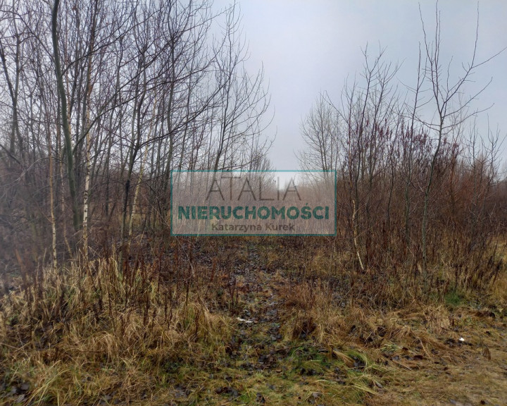 Działka Sprzedaż Kłudno Nowe