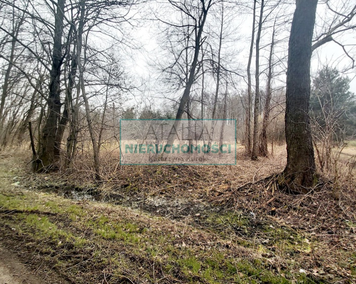 Działka Sprzedaż Korabiewice
