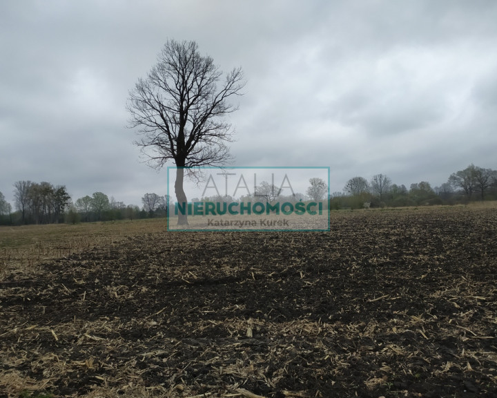 Działka Sprzedaż Baranów
