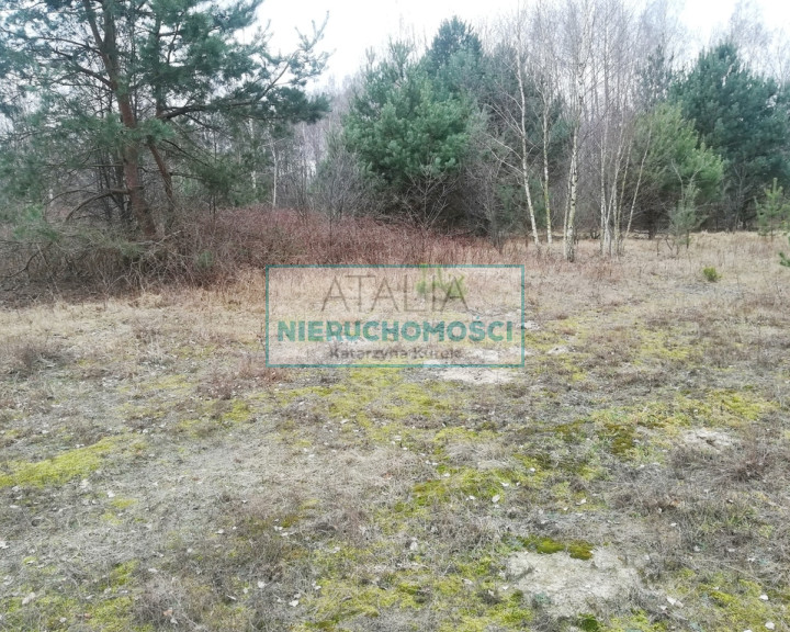Działka Sprzedaż Czarny Las