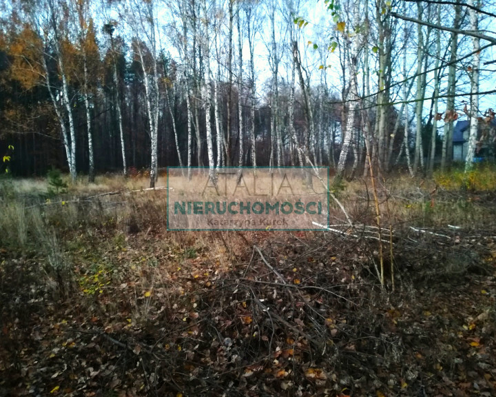 Działka Sprzedaż Szczęsne