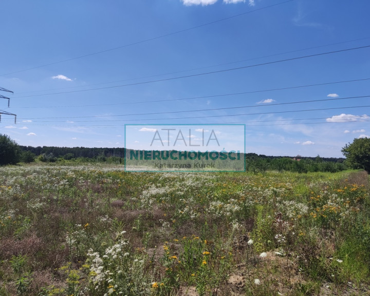 Działka Sprzedaż Wolica