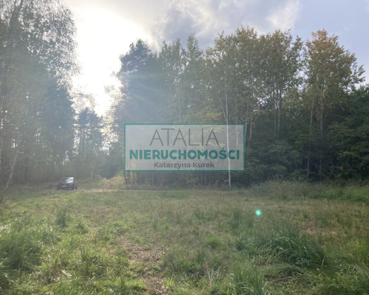 Działka Sprzedaż Kady