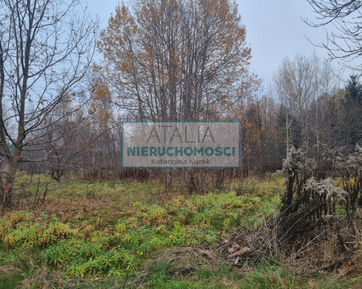 Działka Sprzedaż Książenice