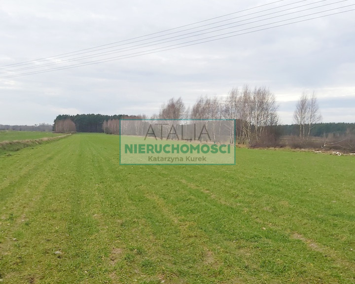 Działka Sprzedaż Krze Duże