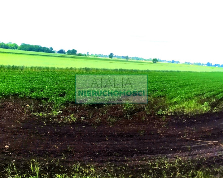Działka Sprzedaż Milęcin
