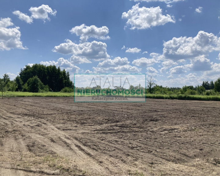 Działka Sprzedaż Baranów