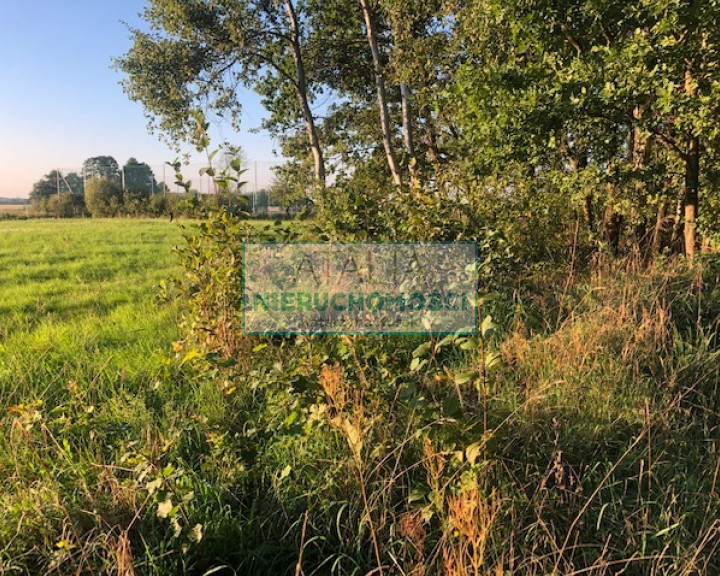 Działka Sprzedaż Książenice
