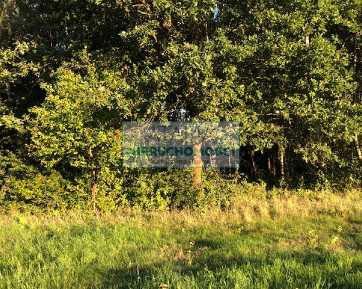 Działka Sprzedaż Książenice